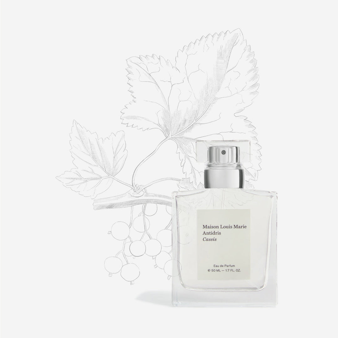 Antidris Cassis Eau de Parfum