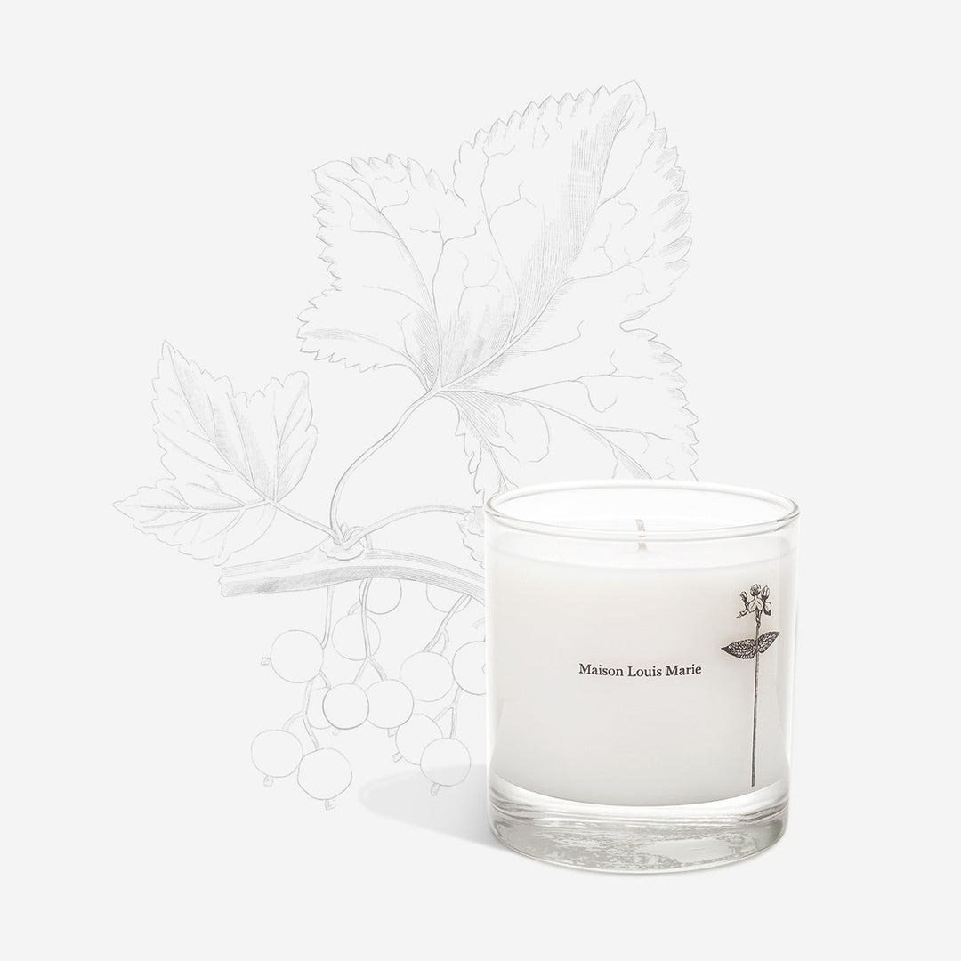 Antidris Cassis 8.5oz Candle