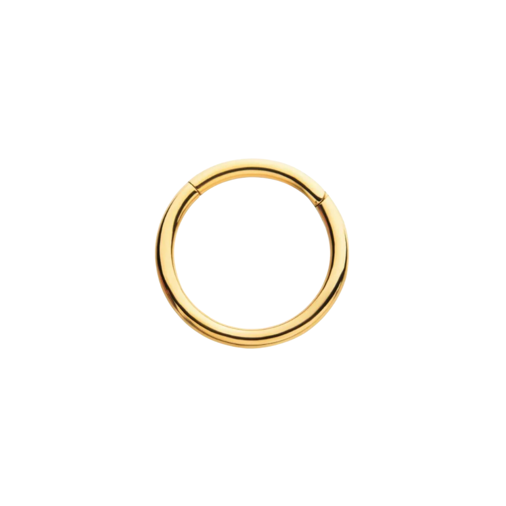 Basic Hinged Clicker Hoop