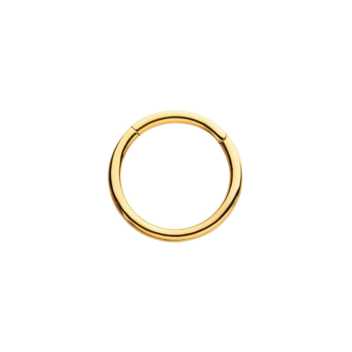 Basic Hinged Clicker Hoop