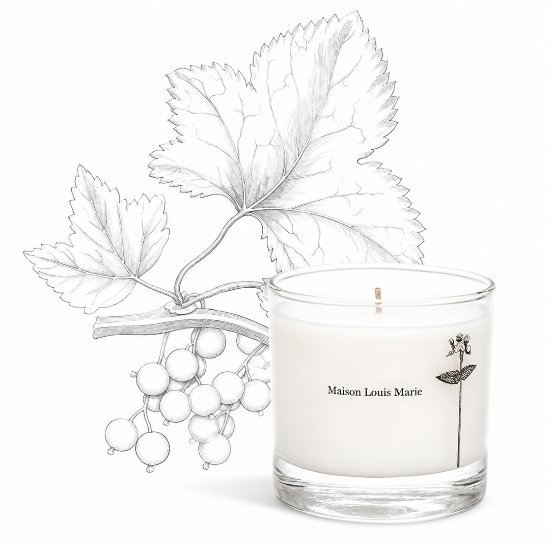 Antidris Cassis 8.5oz Candle-Embark Fine Jewelry