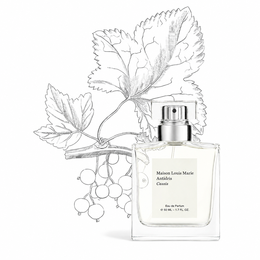 Antidris Cassis Eau de Parfum-Embark Fine Jewelry