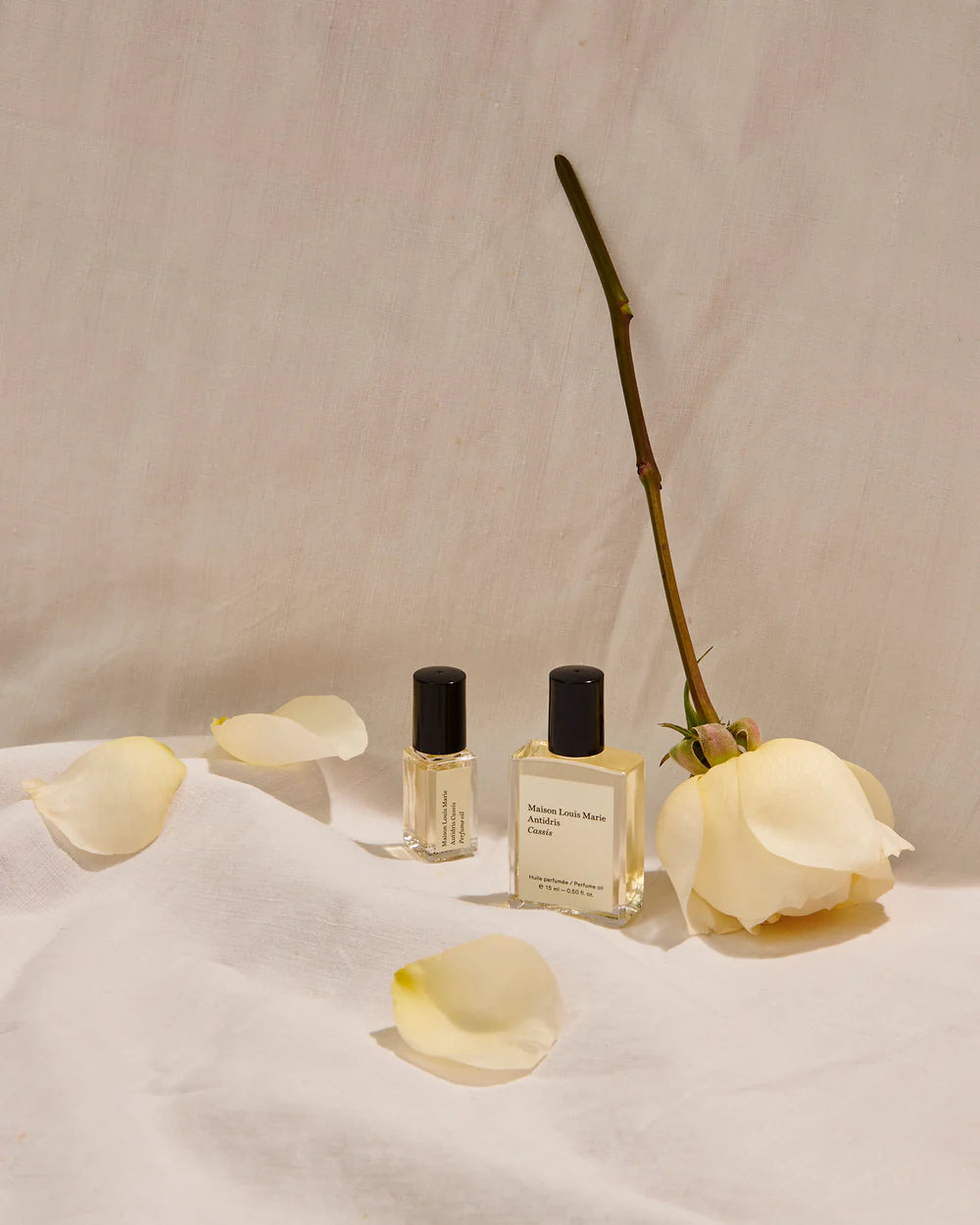 Antidris Cassis Perfume Oil