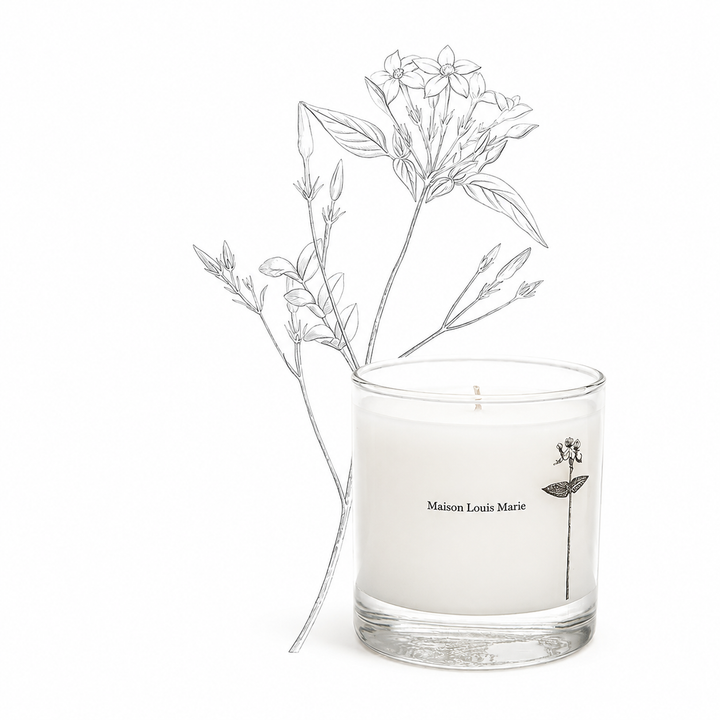 Antidris Jasmine 8.5oz Candle-Embark Fine Jewelry