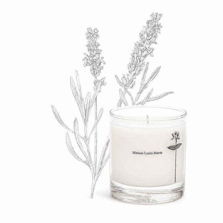 Antidris Lavender 8.5oz Candle-Embark Fine Jewelry