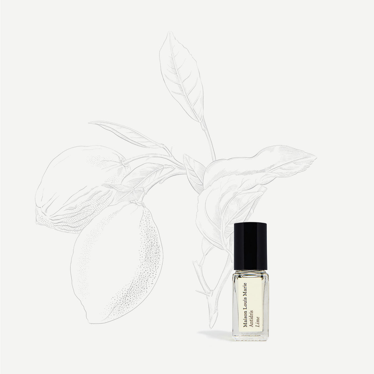 Antidris Lime | Perfume Oil