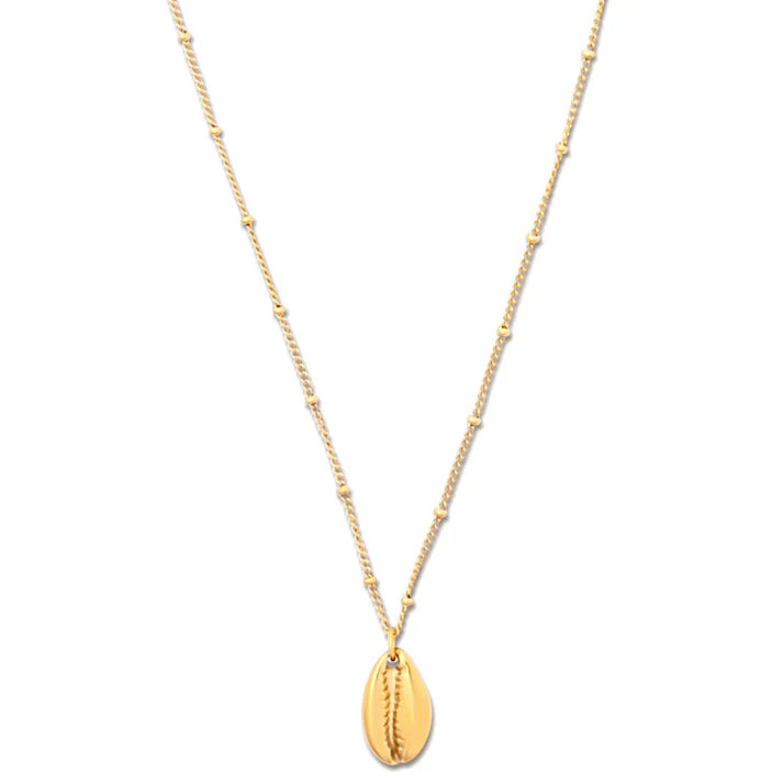 Shell Beaded Chain Necklace