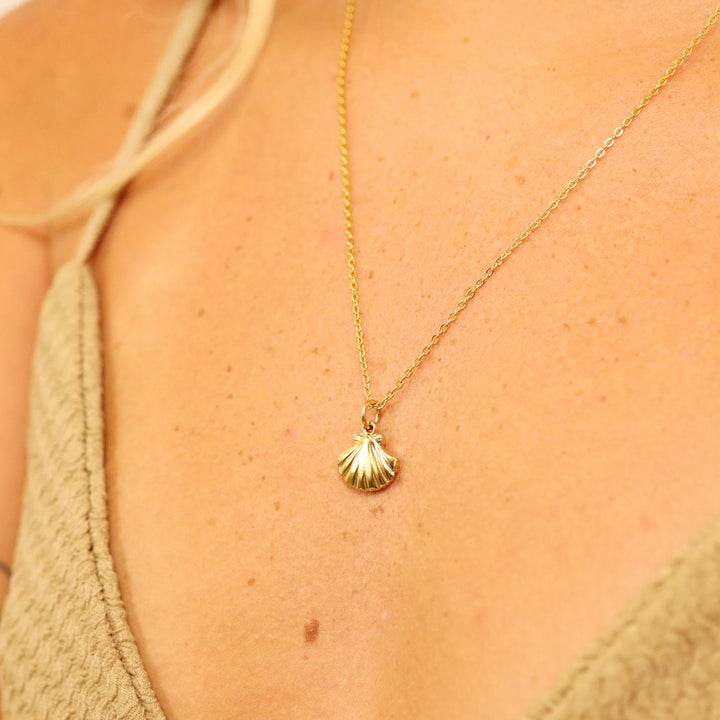 Seashell Charm